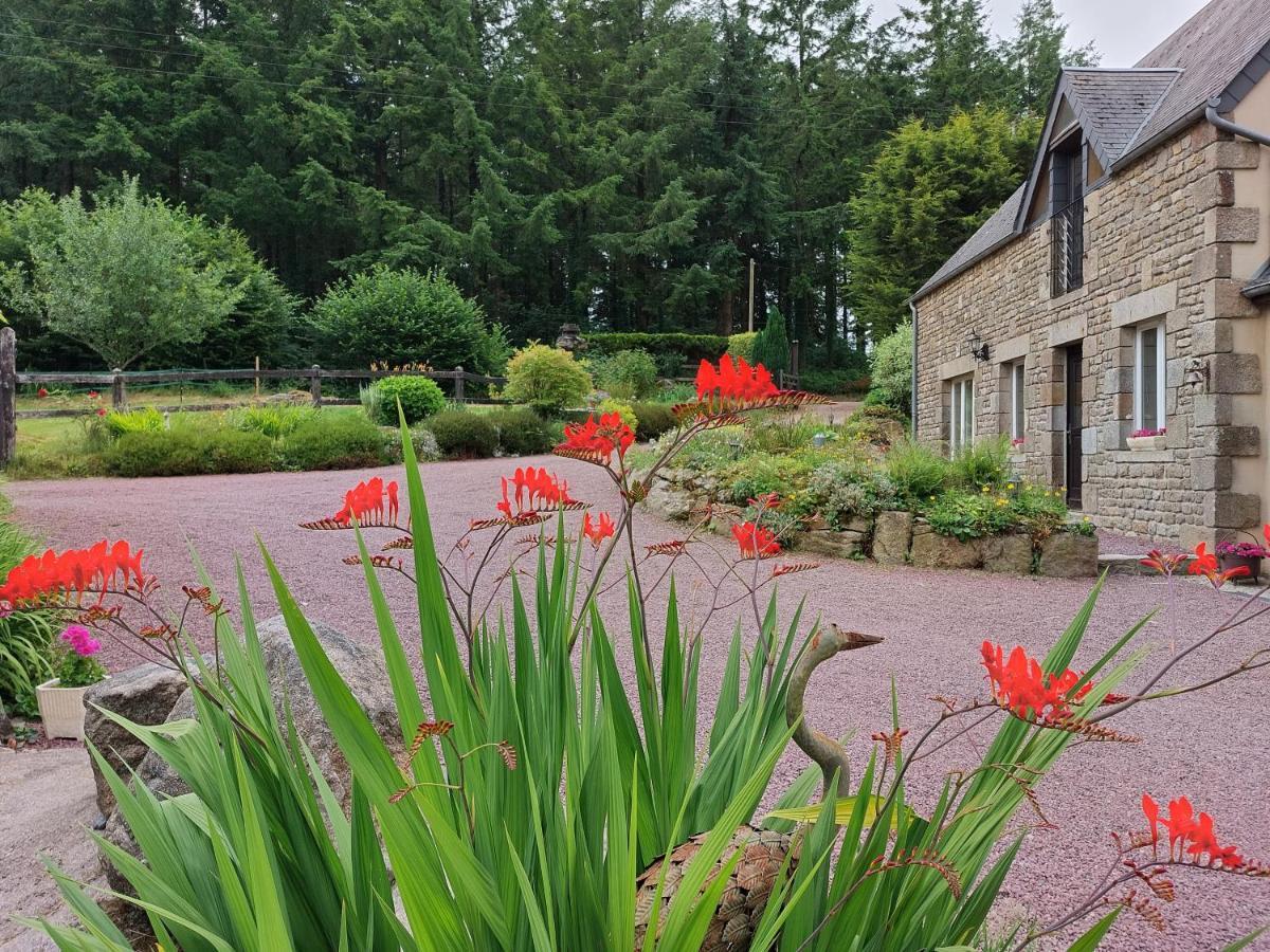 Le Petit Bois Normand - Chambre D'Hote Bed and Breakfast Champ-du-Boult Εξωτερικό φωτογραφία